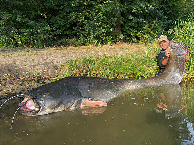 Kde se to zastaví? Rybář Vágner opět zlomil rekord, sumec měřil přes 270 cm