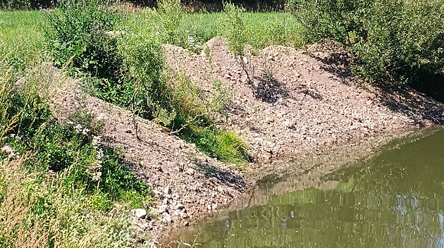 Do přísně chráněného meandru Odry někdo navezl suť, zničil i hnízda ledňáčků