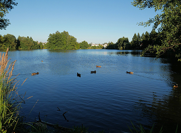 Velký Žďárský rybník letos přijde o vodu, čeká ho rozsáhlá proměna