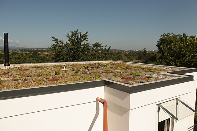 Rok řešili zeleň nad hlavou, aby střechu budoucího bydlení vrátili přírodě