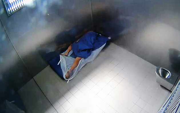 Jihlavská záchytka v srpnu láme rekordy, už dvakrát musela vyhlásit stop stav