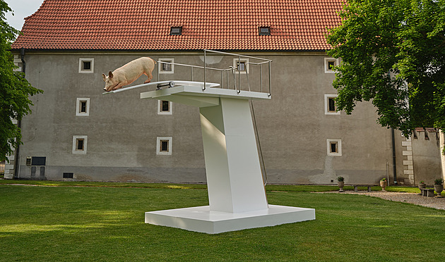 Mrtvému praseti tváří v tvář. V Bechyni umění člověka nenechá chladným