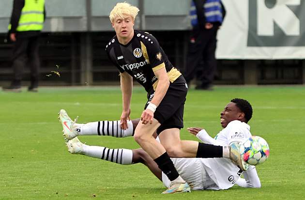 Slončík se z Plzně vrací do Hradce: Věřím, že to je správná volba