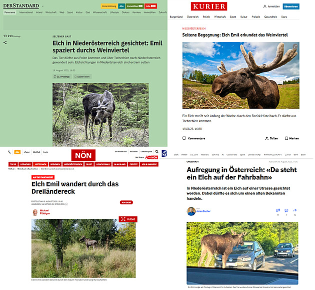 Sotva překročil hranici, už je hvězdou médií. Los Emil se proslavil v další zemi