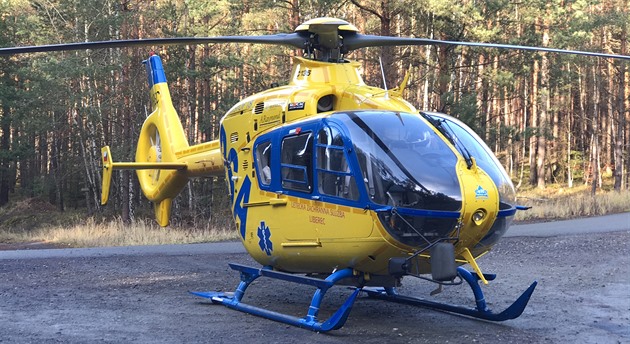 U Děčína se čelně srazila dvě auta. Řidička jednoho z nich zemřela