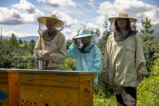 Léčivá moc včel. Odpočinek nad úlem navodí klid a zkvalitní výkon mužů
