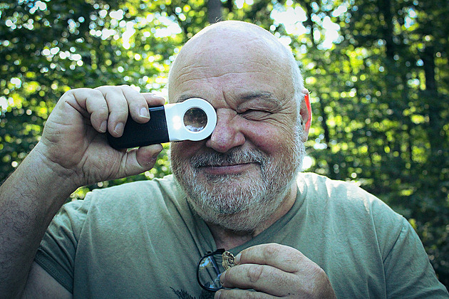 Aplikace určují špatně. Čechratice klame tělem, na sírovci si pochutnáte, říká mykolog