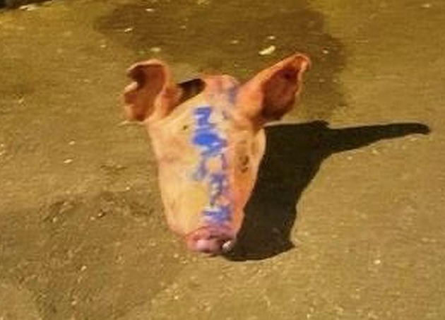 Prasečí hlavy u mešit ve Francii měly zvýšit napětí. Stopa vede na východ Evropy