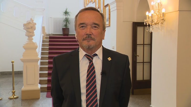 Smrt dalmatinů v autě poslance Kobzy policie vyšetřuje jako možné zanedbání péče