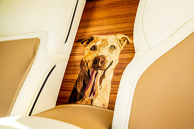 Autozápisník: Auto věnované psovi, motorka papeži a lexus ukradený Tuskovi