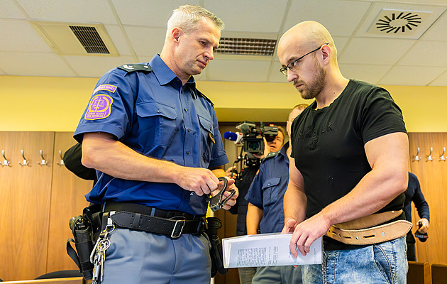 Nevypadala jako na fotce, to začalo hádku. Za vraždu prostitutky dostal mladík 18 let