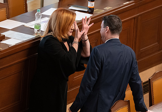 Poslanci přidali 800 milionů korun sportu, sto milionů na protidrogovou politiku