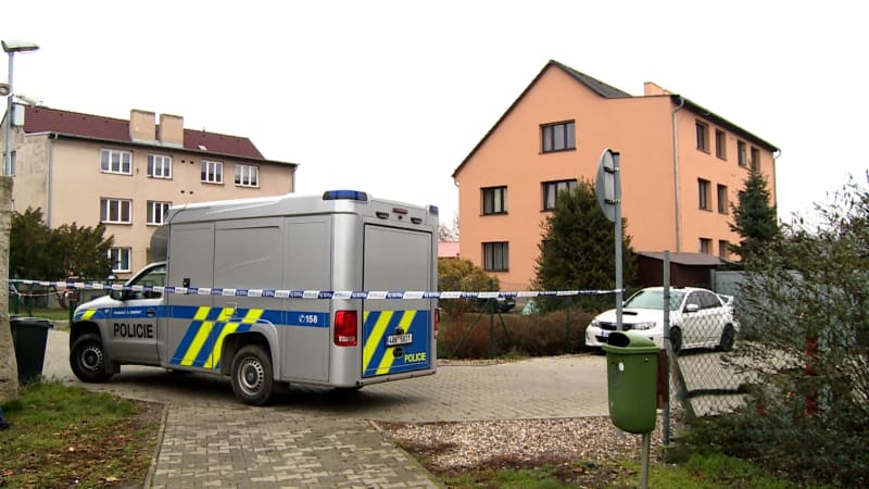 Za útok sekerou dostal jen podmínku. Po letech si senior na sousedku počíhal a umlátil ji tyčí